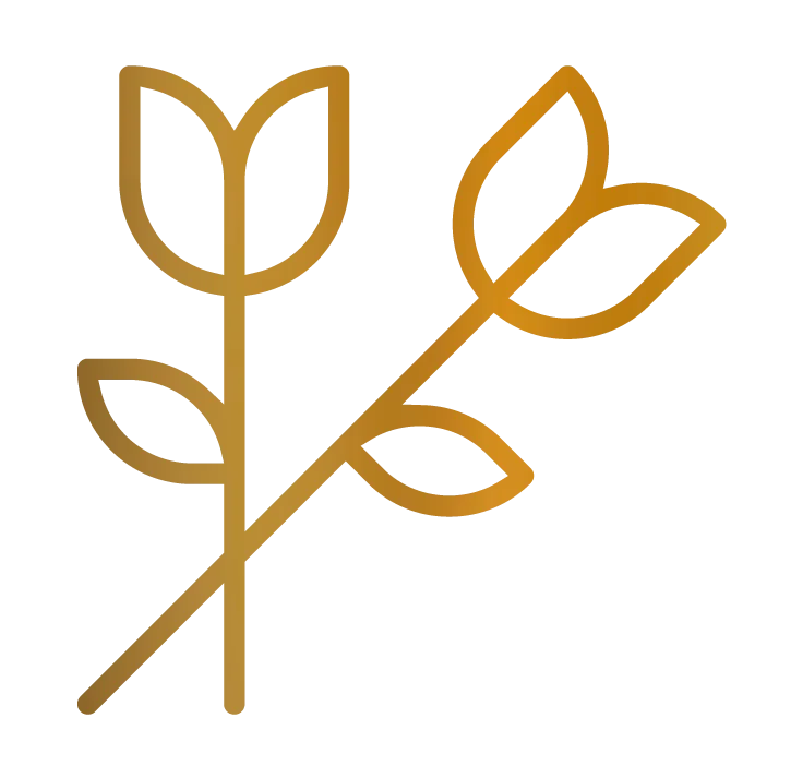 Funeral Planning - Senior Life Insurance